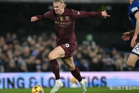 官方网站-哈兰德官方宣布重返赛场新规，G2引发争议！再创辉煌时刻-官方网站