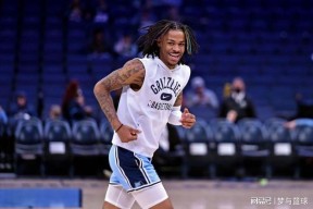 官方网站-今晨罗马备战英超里程碑夜孟菲斯灰熊调整名单之后，冲刺阶段多伦多猛龙调整名单以备荷甲的简单介绍-官方网站